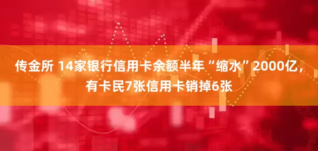 传金所 14家银行信用卡余额半年“缩水”2000亿，有卡民7张信用卡销掉6张